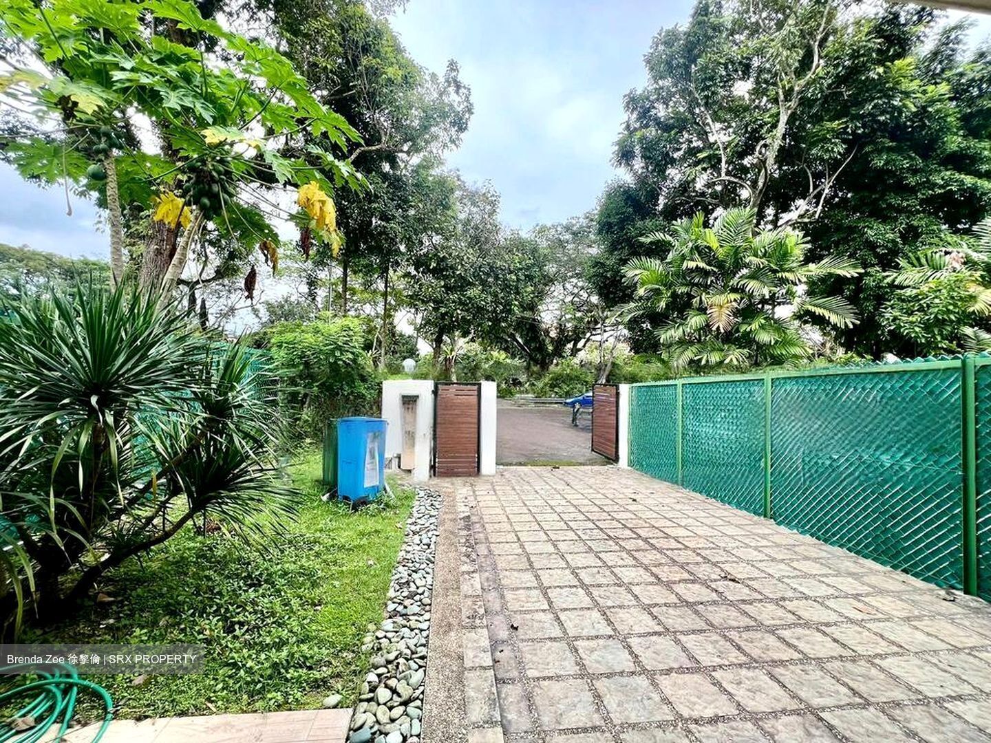 Linden Drive (D11), Terrace #445565591